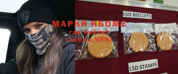 ГАЛЛЮЦИНОГЕННЫЕ ГРИБЫ Ельня