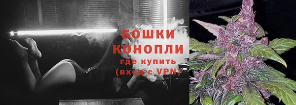 дмт Елизово