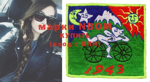 ГАЛЛЮЦИНОГЕННЫЕ ГРИБЫ Ельня