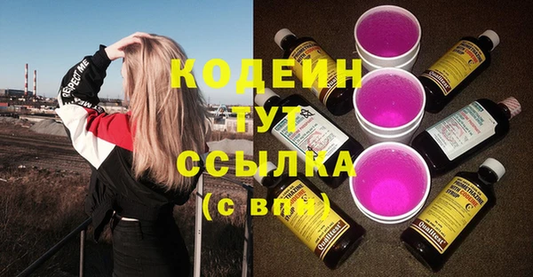 ГАЛЛЮЦИНОГЕННЫЕ ГРИБЫ Ельня