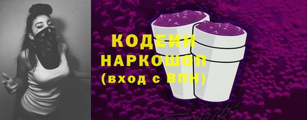 дмт Елизово