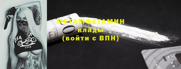 ГАЛЛЮЦИНОГЕННЫЕ ГРИБЫ Ельня