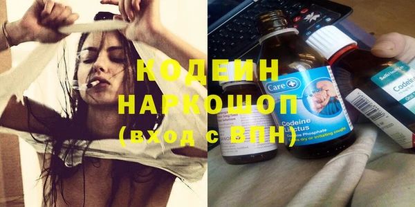 ГАЛЛЮЦИНОГЕННЫЕ ГРИБЫ Ельня