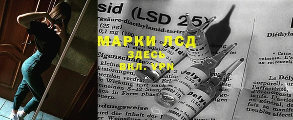ГАЛЛЮЦИНОГЕННЫЕ ГРИБЫ Ельня