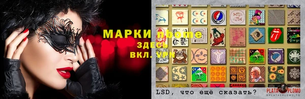 ГАЛЛЮЦИНОГЕННЫЕ ГРИБЫ Ельня