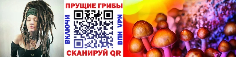 MEGA рабочий сайт  Инза  Галлюциногенные грибы мицелий 